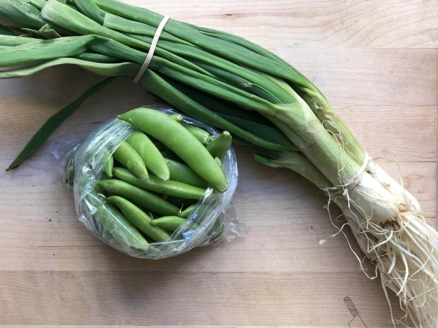 27744066_10215758630222486_649368506_o